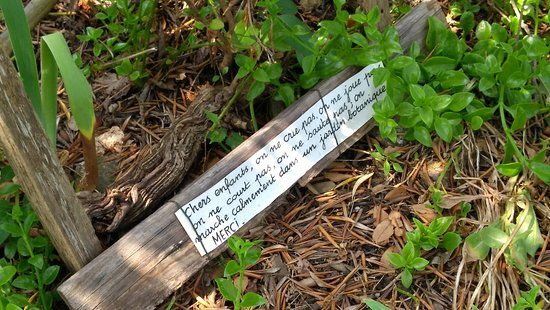 Jardin Botanique de Mme L'Hardy Denonain